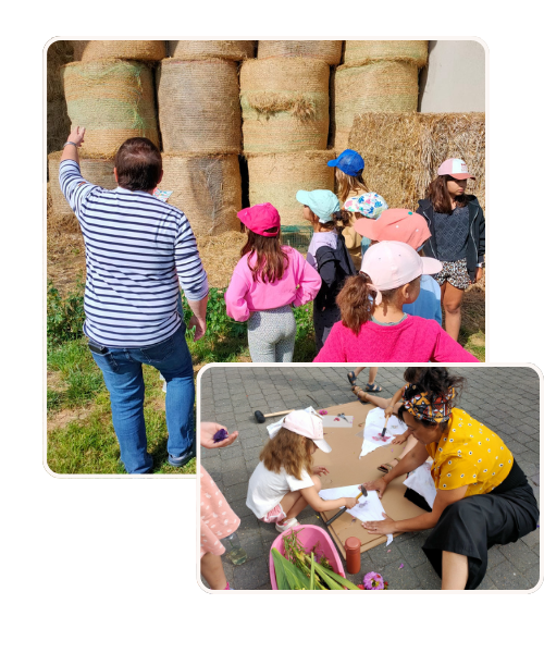 Ateliers-pédagogiques-école-associations-institutions-Namur ateliers pédagogiques en écoles et institutions
