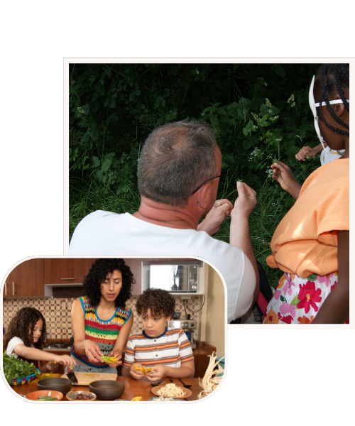 ateliers-adultes-familles ateliers adultes et familles