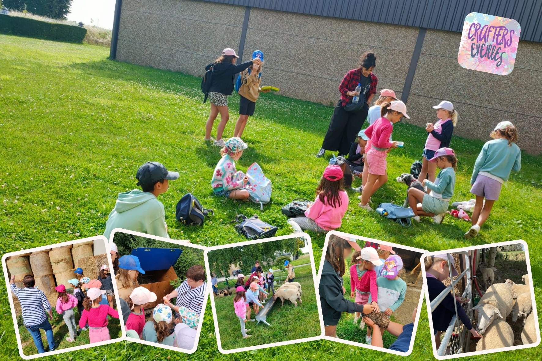 Visite à la ferme, apprendre en s'amusant